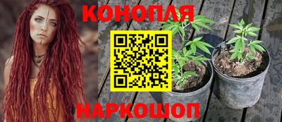 дживик Будённовск