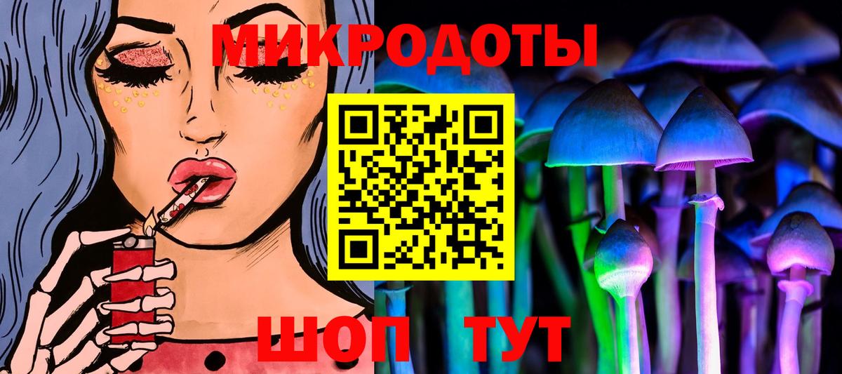 Галлюциногенные грибы Cubensis Санкт-Петербург