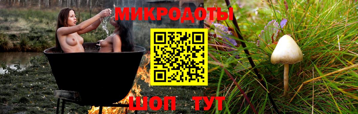 Санкт-Петербург  Галлюциногенные грибы Psilocybe  Вход с VPN 
